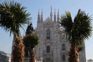 Milano, crescono palme e banani in piazza Duomo