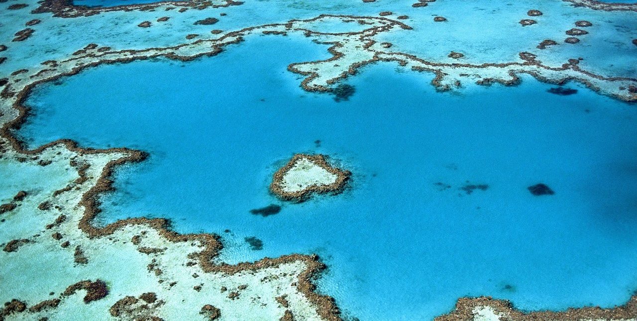 Barriera Corallina Australiana