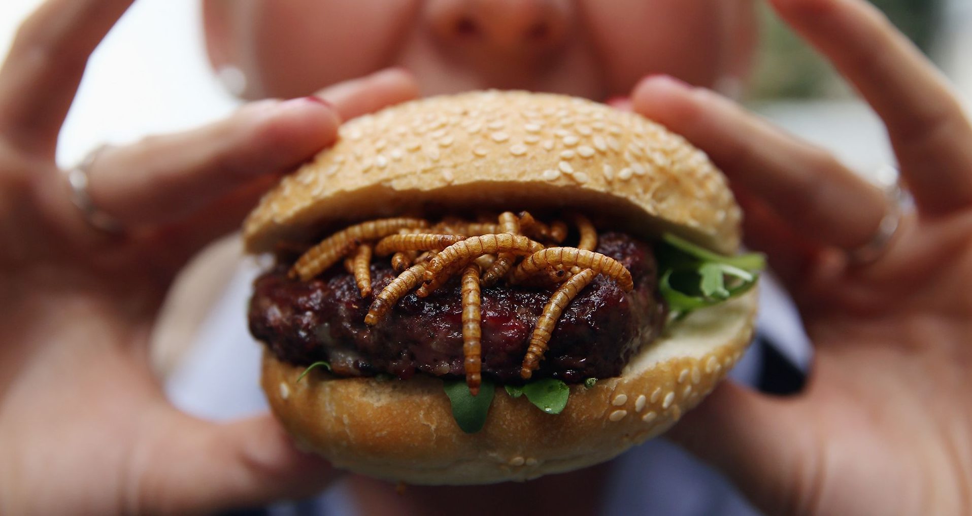 Insekten Burger l'hamburger a base di insetti