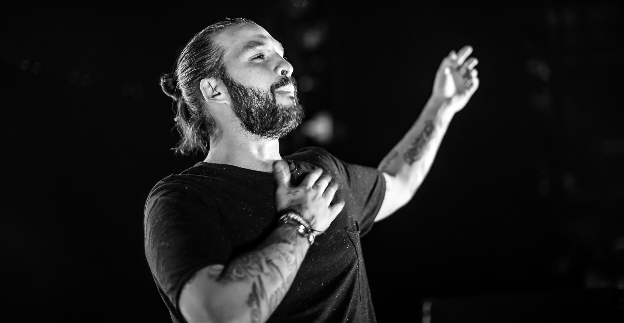 Steve Angello all life pass