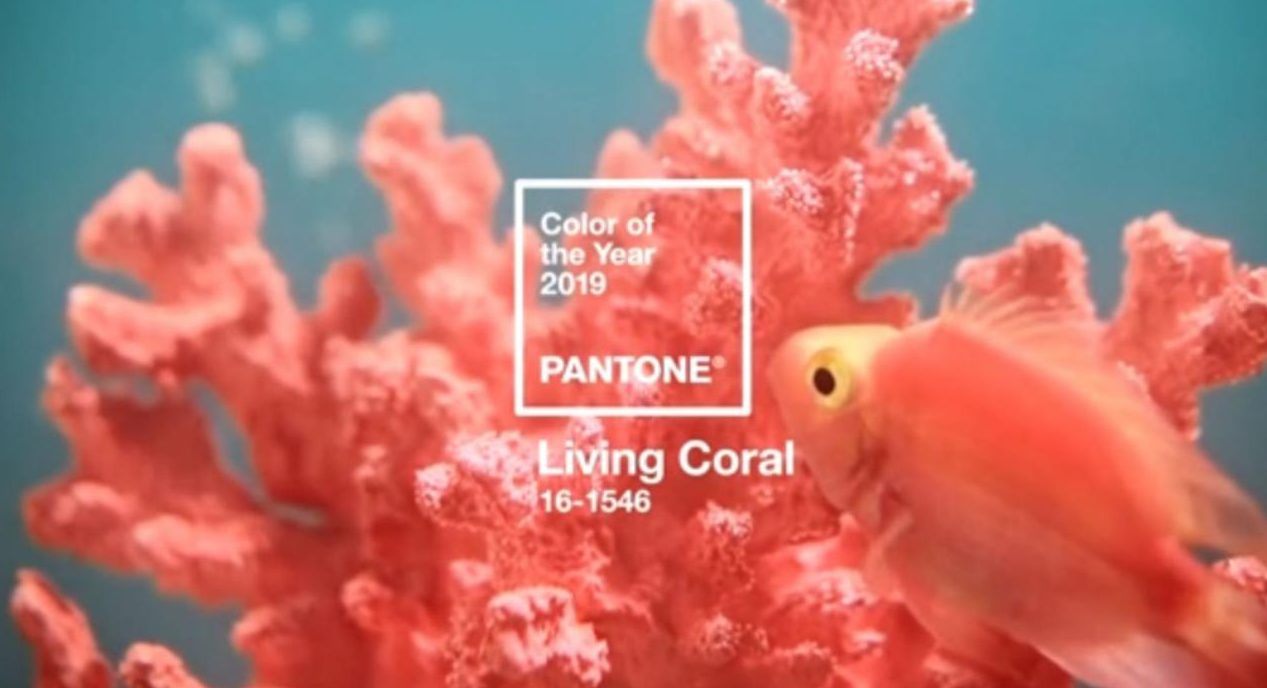 Living Coral il colore dell anno